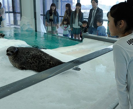 海遊館 官網