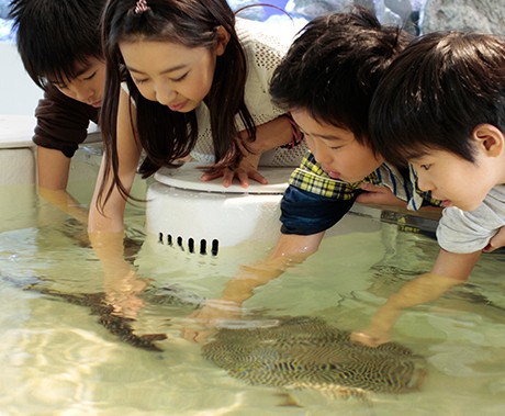 海遊館 官網