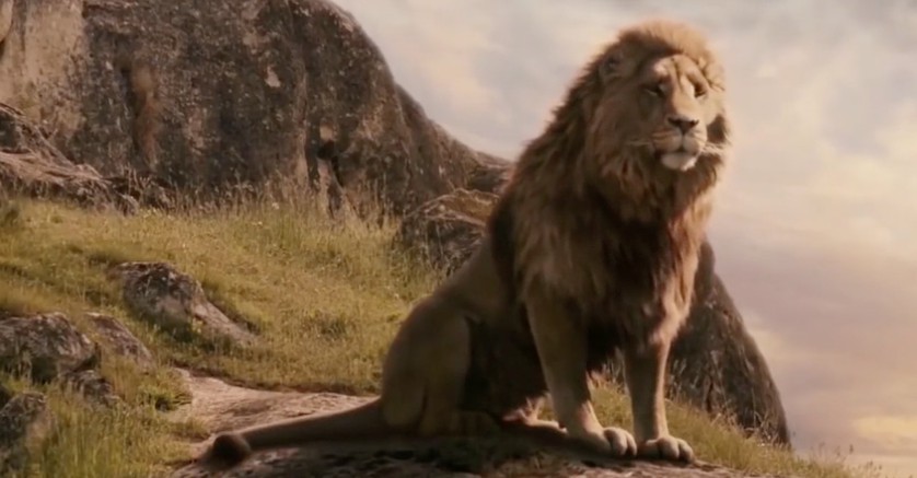 Lion King 預告