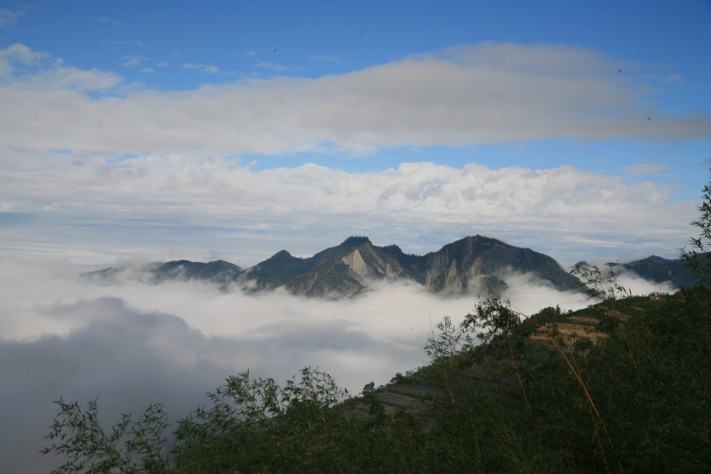 阿里山國家風景區官網
