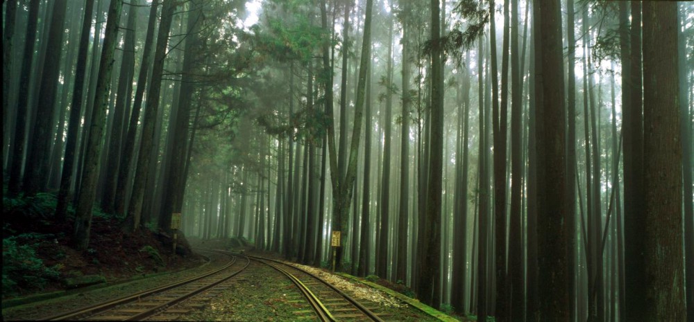 阿里山國家風景區官網