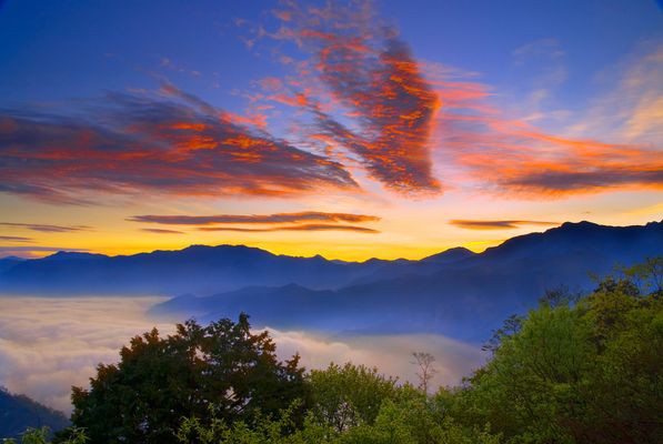阿里山國家風景區官網