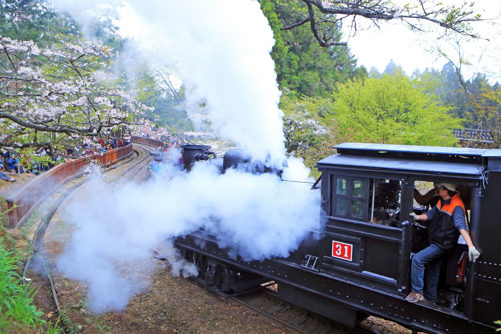 阿里山國家風景區官網