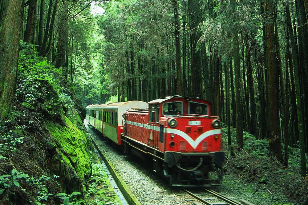 阿里山林業鐵路及文化資產管理處