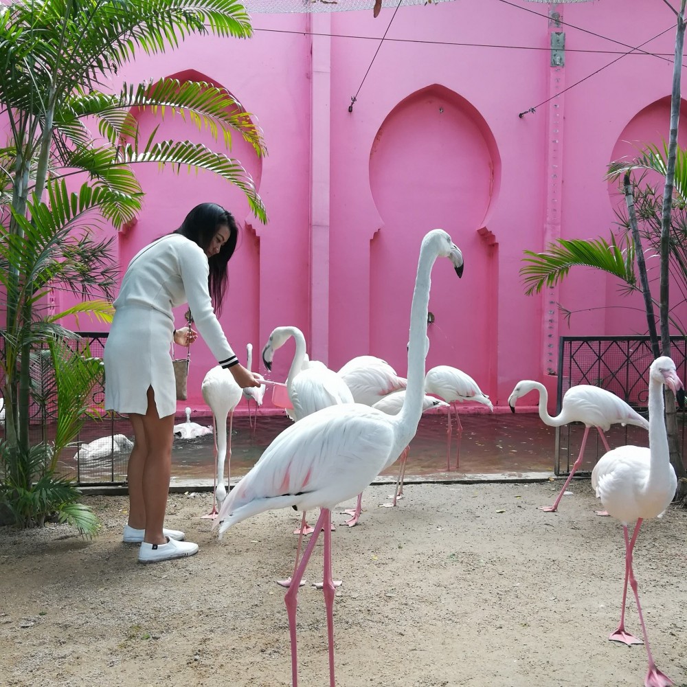 Camel Republic@FB